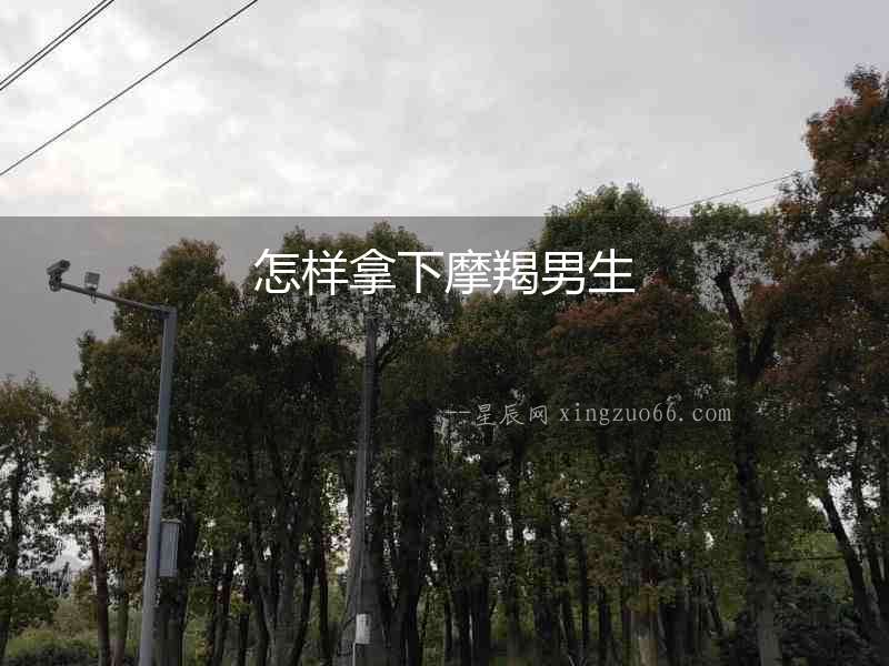 怎樣拿下摩羯男生