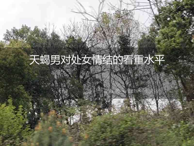 天蝎男對處女情結的看重水平