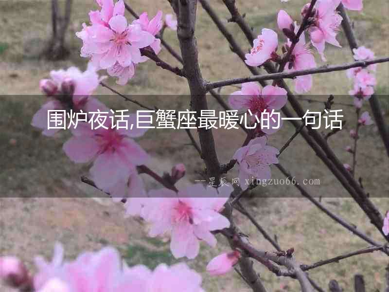 圍爐夜話,巨蟹座最暖心的一句話