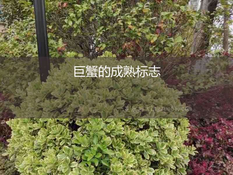 巨蟹的成熟標志