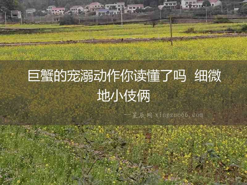 巨蟹的寵溺動(dòng)作你讀懂了嗎  細(xì)微地小伎倆