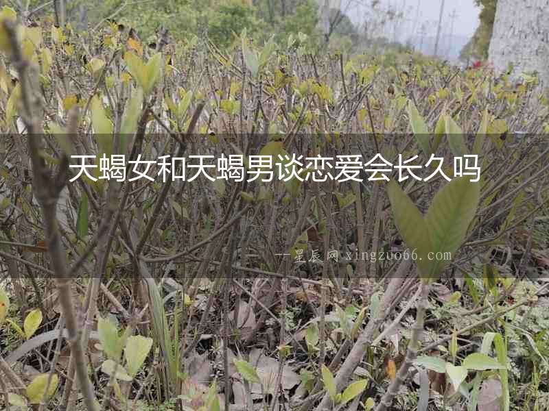 天蝎女和天蝎男談戀愛(ài)會(huì)長(zhǎng)久嗎