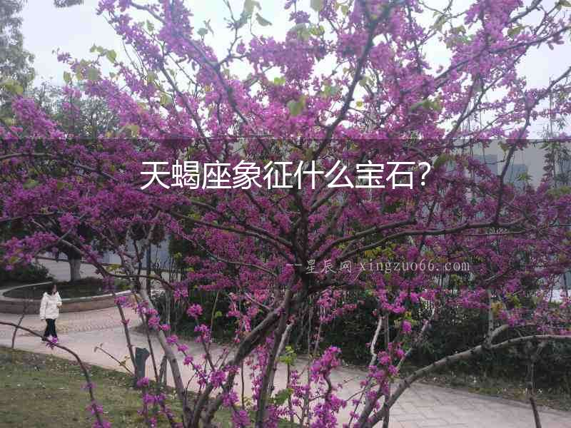 天蝎座象征什么寶石？