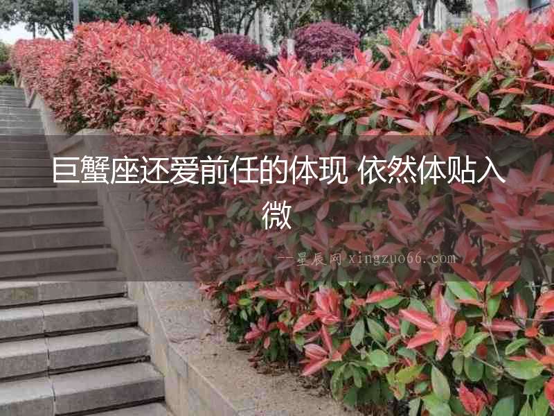 巨蟹座還愛前任的體現 依然體貼入微