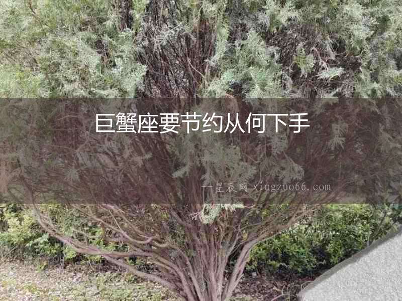 巨蟹座要節約從何下手