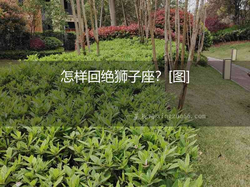 怎樣回絕獅子座？[圖]