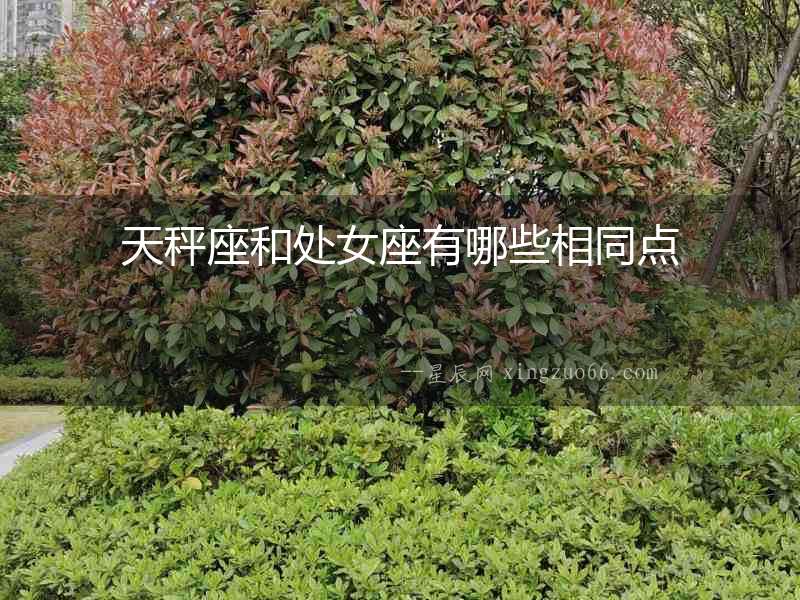 天秤座和處女座有哪些相同點
