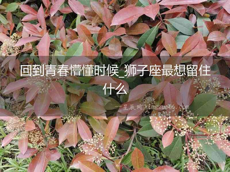 回到青春懵懂時候_獅子座最想留住什么