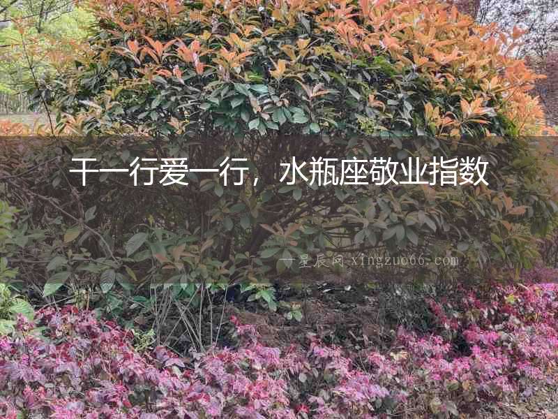 干一行愛(ài)一行，水瓶座敬業(yè)指數(shù)
