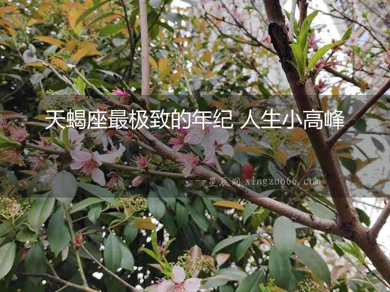 天蝎座最極致的年紀 人生小高峰