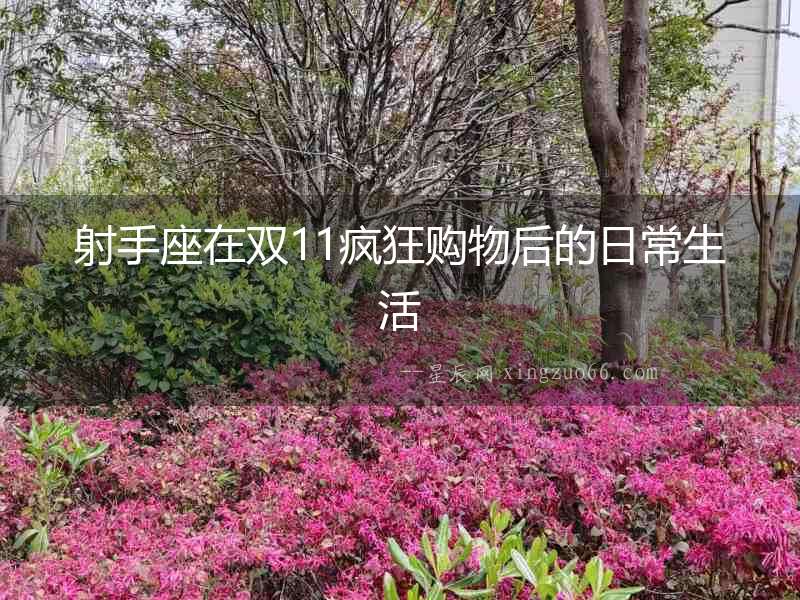 射手座在雙11瘋狂購物后的日常生活