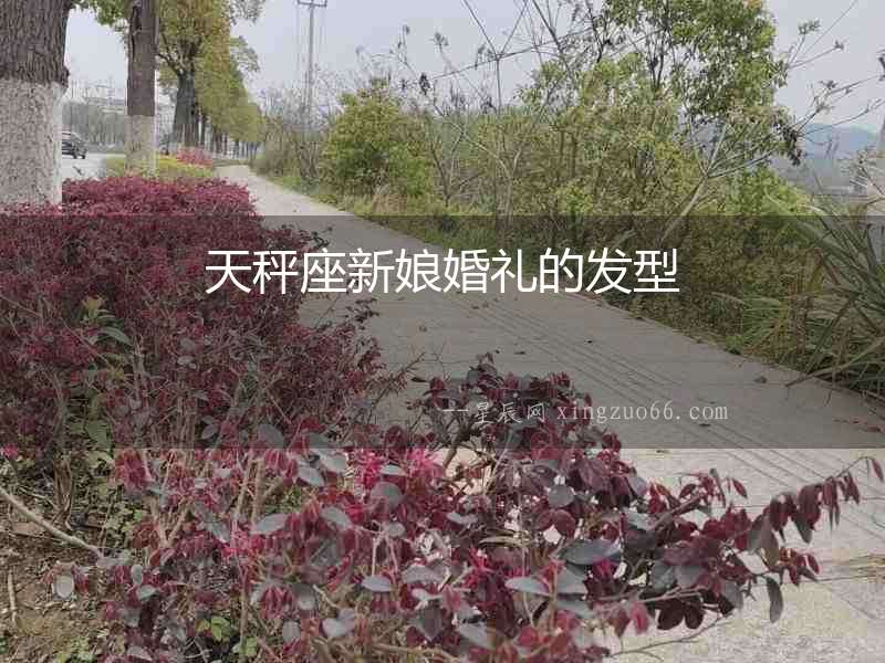 天秤座新娘婚禮的發(fā)型