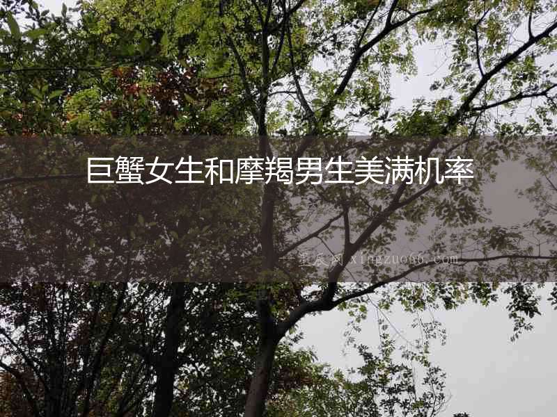 巨蟹女生和摩羯男生美滿機率