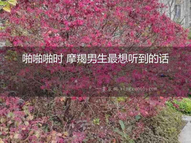 啪啪啪時 摩羯男生最想聽到的話