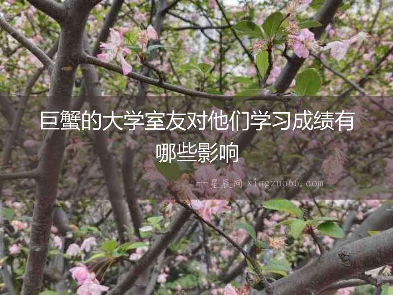 巨蟹的大學室友對他們學習成績有哪些影響