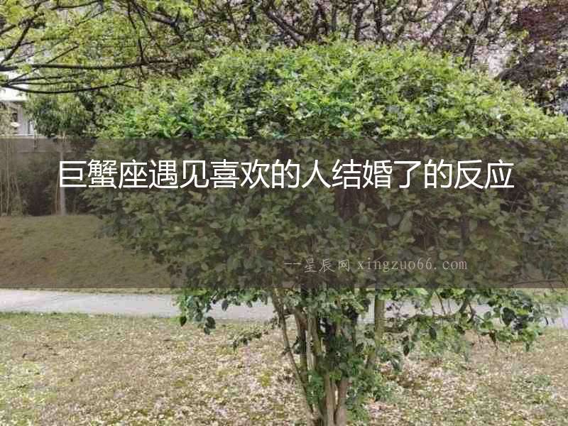 巨蟹座遇見喜歡的人結(jié)婚了的反應(yīng)