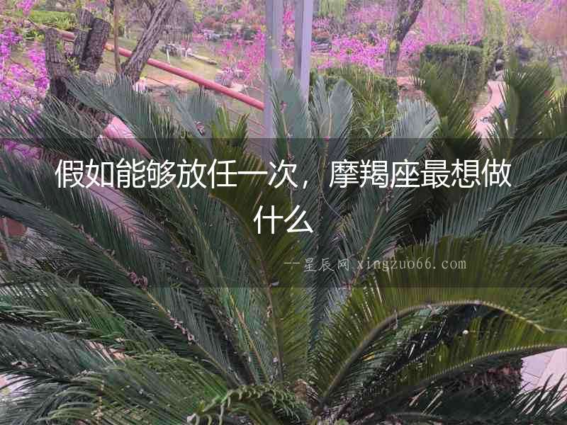 假如能夠放任一次，摩羯座最想做什么