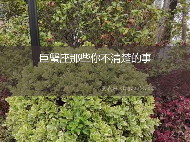 巨蟹座那些你不清楚的事