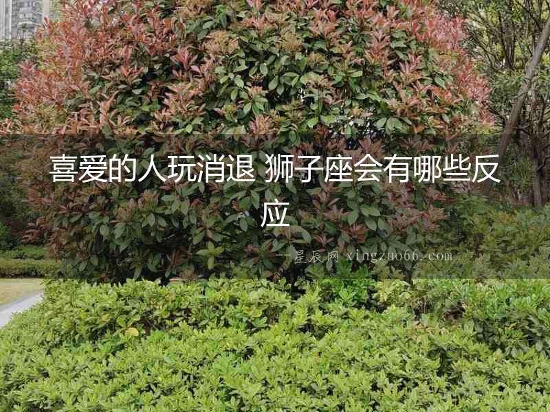 喜愛(ài)的人玩消退 獅子座會(huì)有哪些反應(yīng)