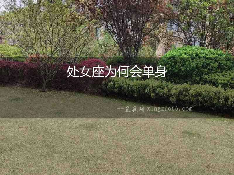處女座為何會單身