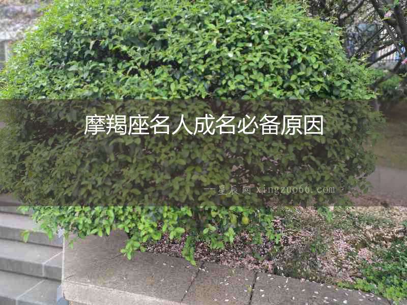 摩羯座名人成名必備原因