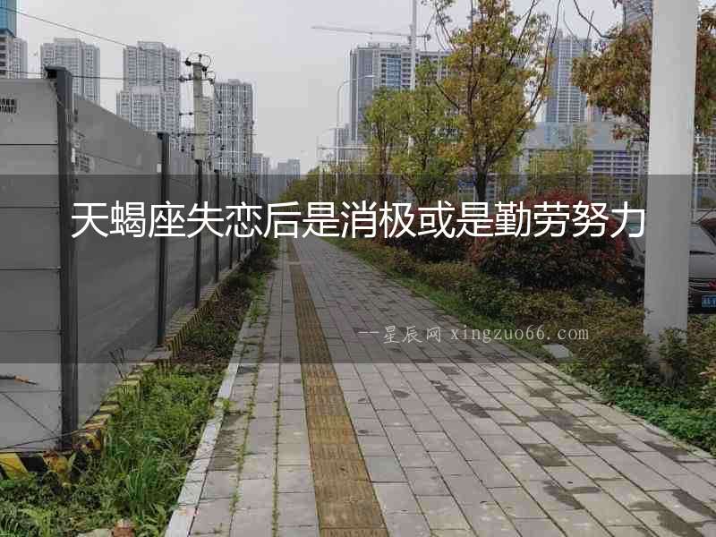 天蝎座失戀后是消極或是勤勞努力