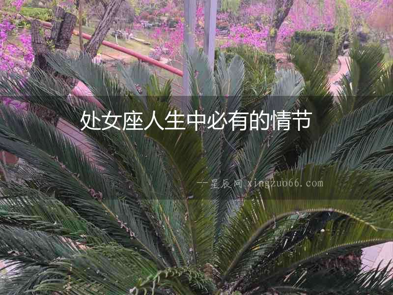 處女座人生中必有的情節