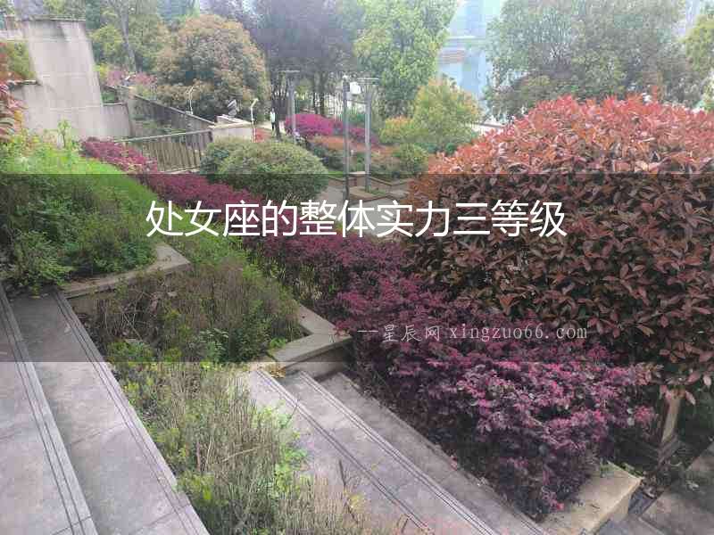 處女座的整體實力三等級
