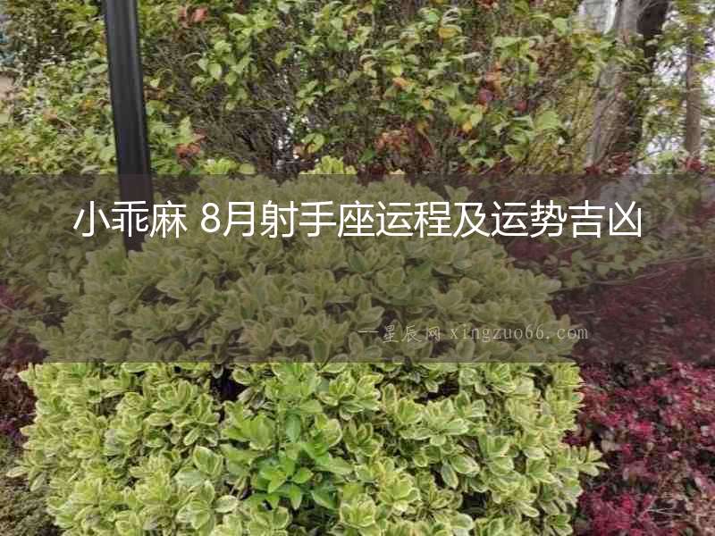 小乖麻 8月射手座運程及運勢吉兇
