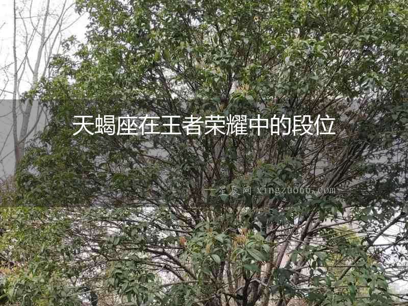 天蝎座在王者榮耀中的段位