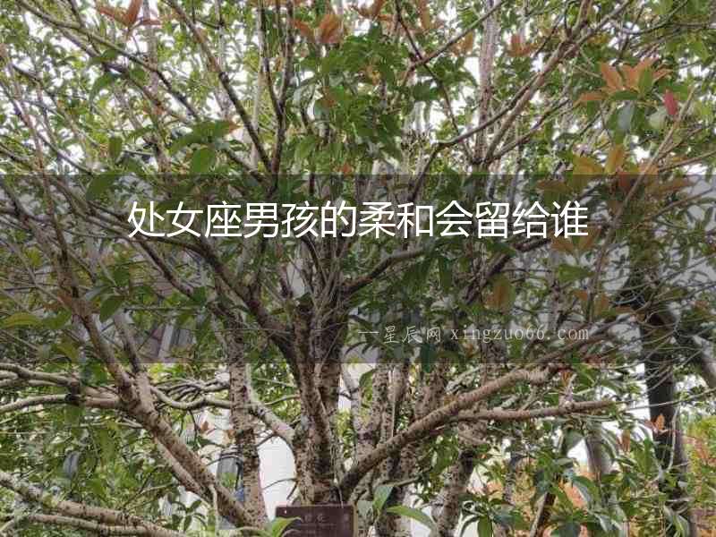 處女座男孩的柔和會留給誰