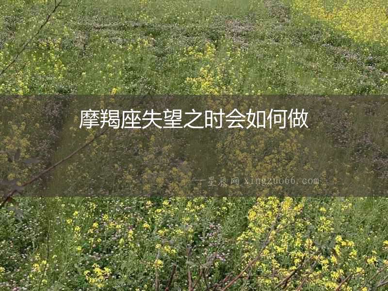 摩羯座失望之時會如何做
