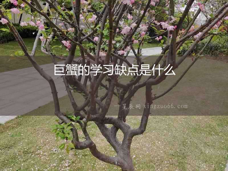 巨蟹的學習缺點是什么
