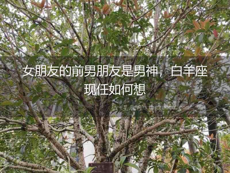 女朋友的前男朋友是男神，白羊座現任如何想