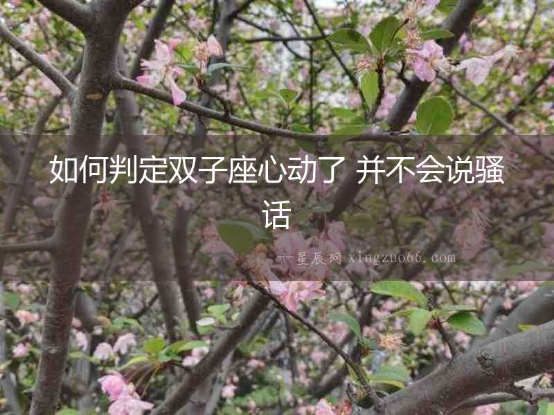 如何判定雙子座心動了 并不會說騷話
