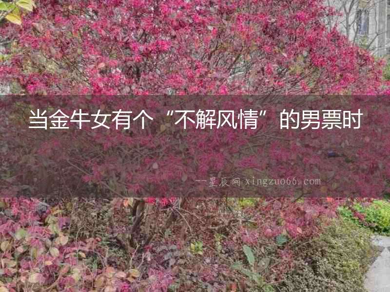 當金牛女有個“不解風情”的男票時