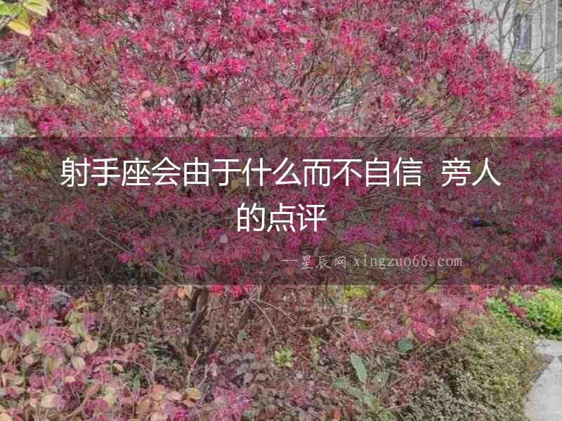 射手座會由于什么而不自信  旁人的點評