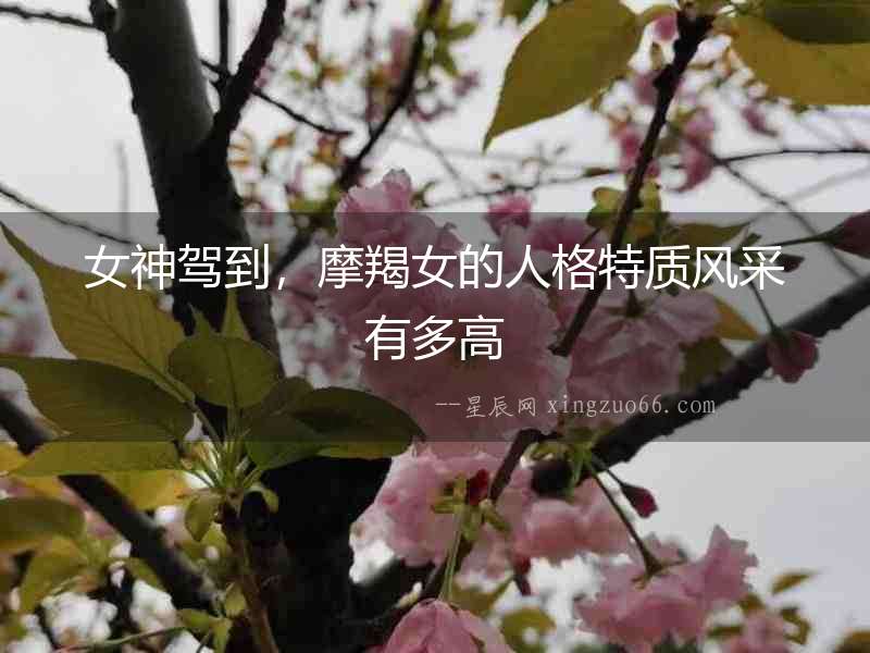 女神駕到，摩羯女的人格特質風采有多高