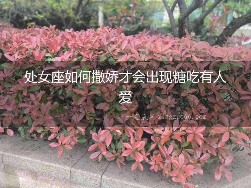 處女座如何撒嬌才會出現糖吃有人愛
