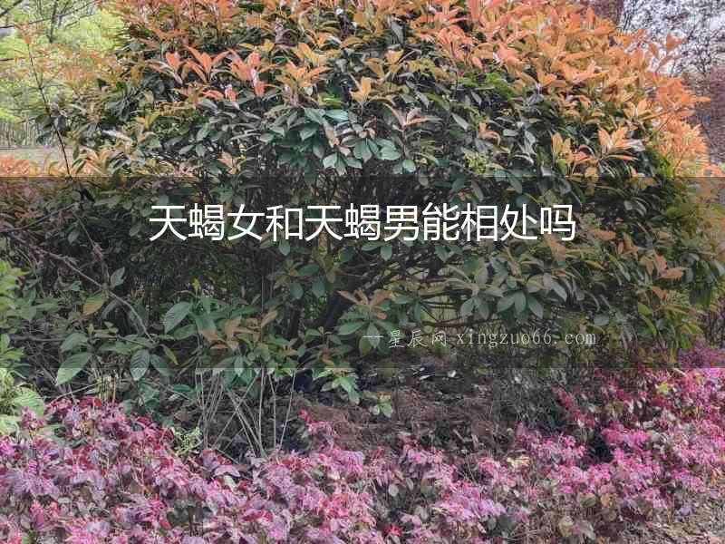 天蝎女和天蝎男能相處嗎
