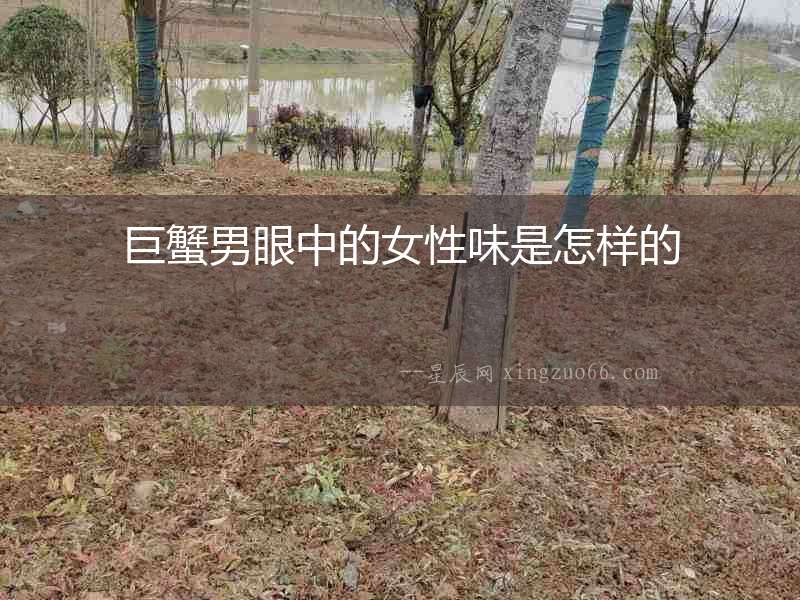 巨蟹男眼中的女性味是怎樣的