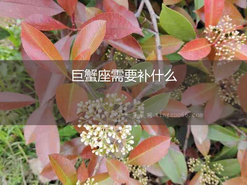 巨蟹座需要補什么