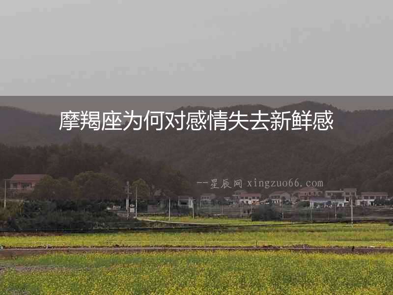 摩羯座為何對感情失去新鮮感
