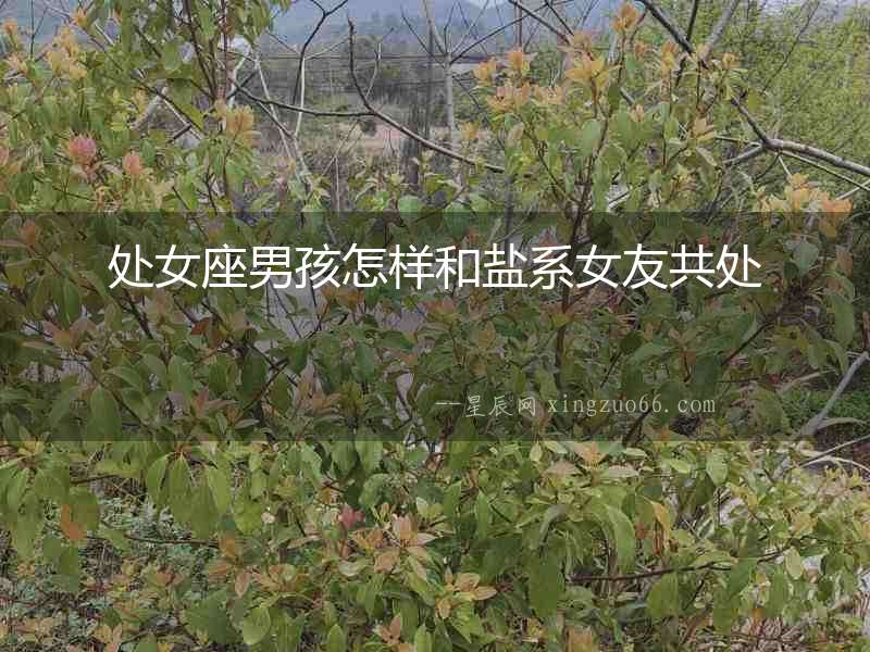 處女座男孩怎樣和鹽系女友共處