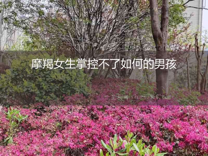 摩羯女生掌控不了如何的男孩