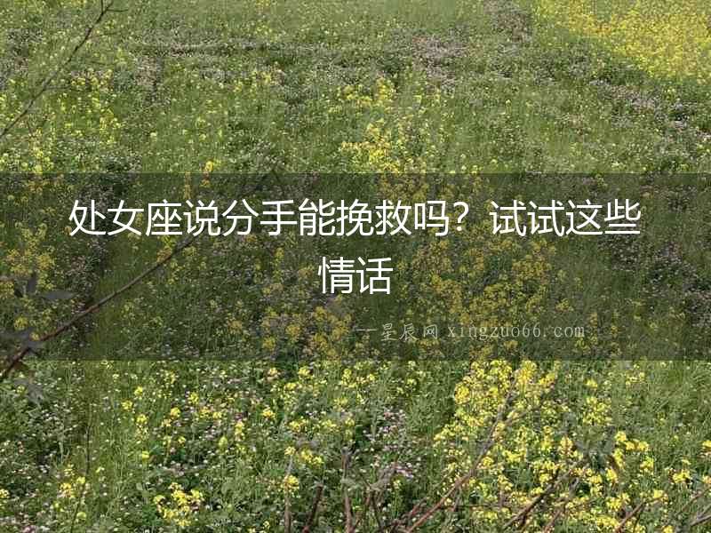 處女座說分手能挽救嗎？試試這些情話