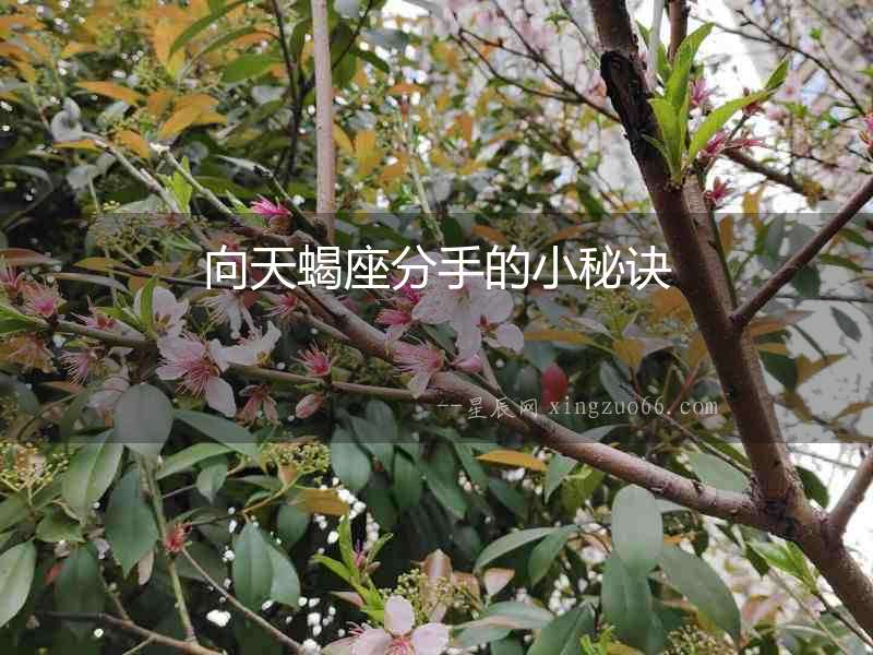 向天蝎座分手的小秘訣