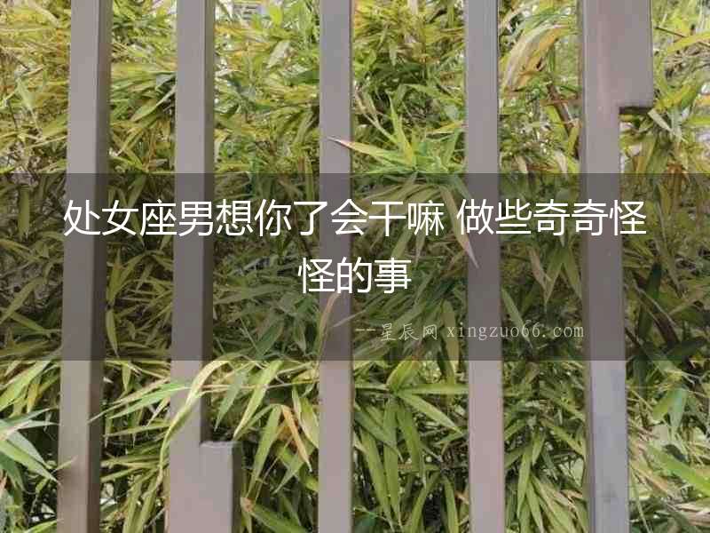 處女座男想你了會(huì)干嘛 做些奇奇怪怪的事