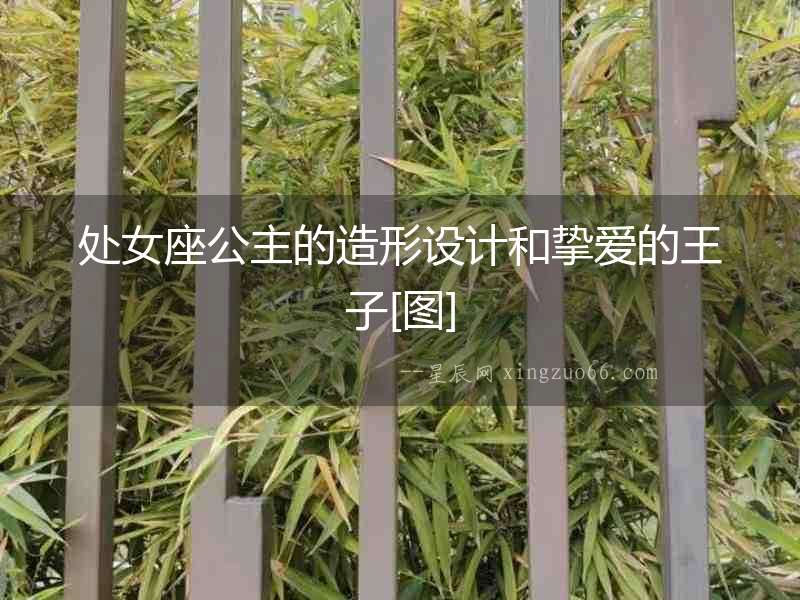 處女座公主的造形設(shè)計和摯愛的王子[圖]