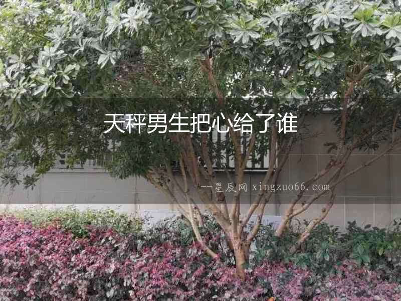 天秤男生把心給了誰